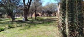 Don Nicolas, San Agustín De Valle Fértil